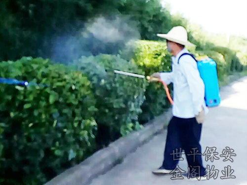 绿化维护