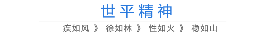 湘潭世平保安服务有限公司,湘潭保安服务,技防服务,特保服务哪里好